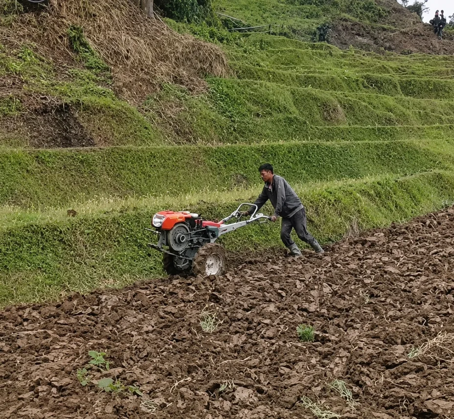 Foto lapangan dari pelanggan yang menunjukkan operator mengemudikan traktor roda dua bermesin merah di medan terasering yang telah diolah